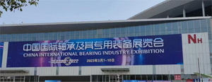 Bearing expo.jpg